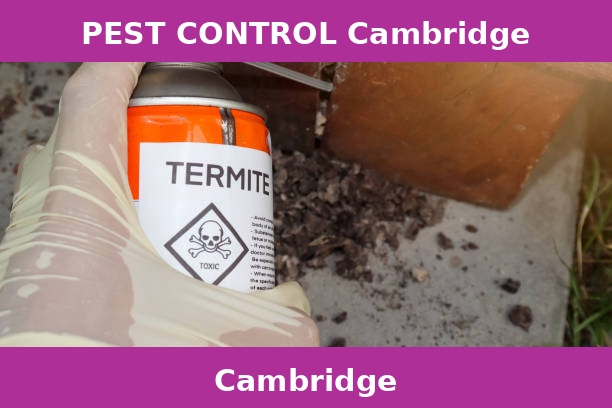 PEST CONTROL Cambridge